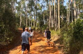 Cabana de Vidro - Canelinha - Photo 15