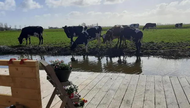 Terrenos do alojamento