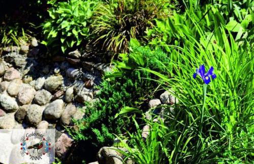 Holiday Home Zgorzale by Lake Radunskie - Photo 69