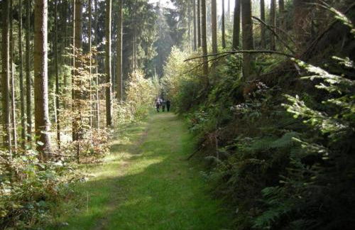 Bungalow auf dem Campingpark Waxweiler - Foto 26