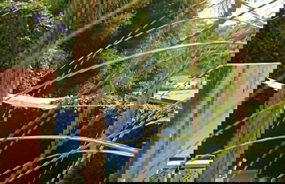 Guesthouse -El campello-Alacant - Foto 33