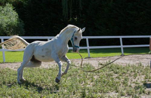 Agriturismo Le Fornase - Foto 53