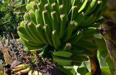 Los Corralitos - Foto 10