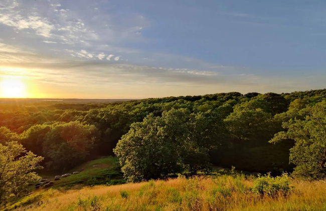 4 Person Holiday Home in Ans By - Foto 18