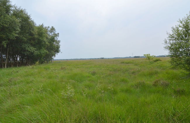 Comfortable Holiday Home With hot tub - Foto 19