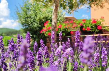 Apartman Urban Nature - Foto 8