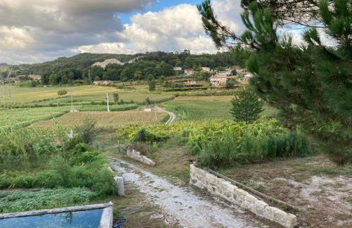 Quinta do Pinheiro - Foto 39