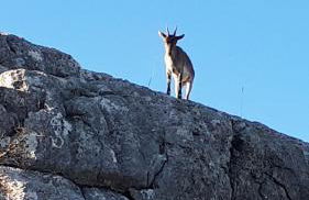 Casa Siempre feliz - Foto 36