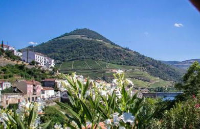 Casa da Encosta Douro Valley - Foto 21