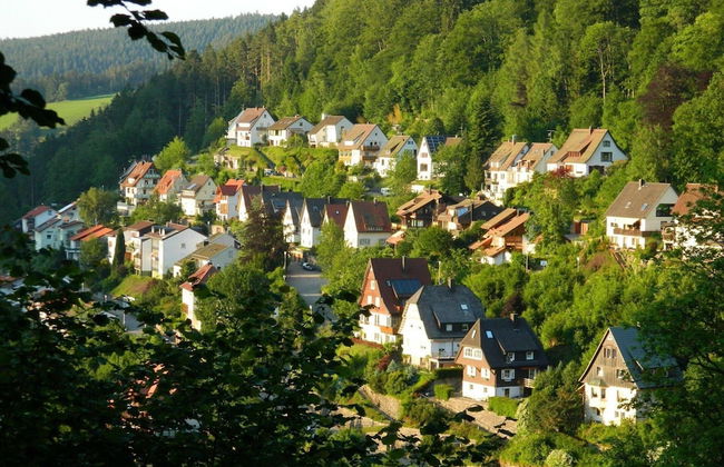 Ferienwohnung im Haus Schiefertal, Wieda - Foto 19