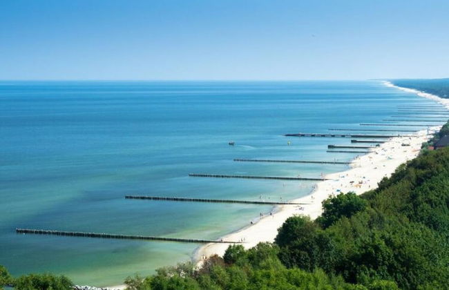 Beautiful Apartment Very Close to the Beach - Photo 25