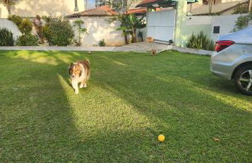 Ingleses casa grande con pátio - Foto 7