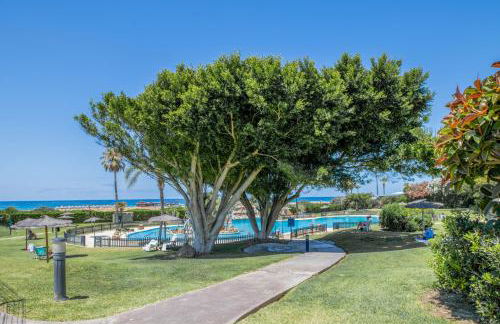 Bella Vistas - Photo 21