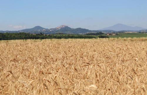 Agriturismo Podere Padolecchie - Azienda Agricola Passerini - Foto 18
