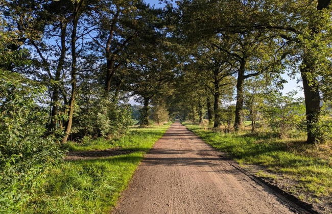 Holiday Home in Haarle Near Sallandse Heuvelrug - Foto 20