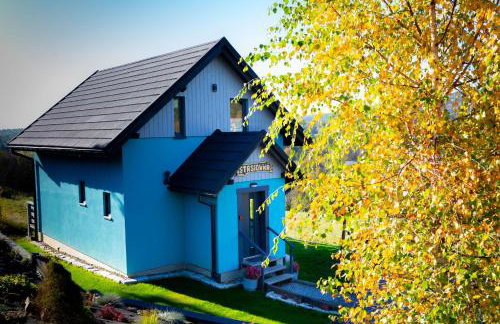 DOMEK NIEBIESKI W BESKIDZIE MAŁYM - Foto 11