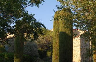 Cyprès du Paradis à Gordes - Photo 16