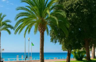 Holliday Azur - Foto 1