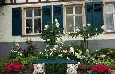 Altes Winzerhaus Lenz - Foto 11