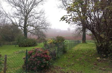 Charmante maison au calme - Foto 13