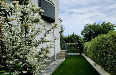 Perla No1 - Photo 30