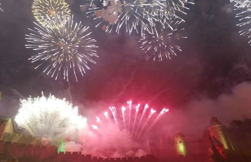 Le Belvédère St Gimer - Photo 29