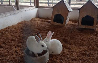 Flat no condomíno Monte Castelo em Gravatá-PE - Foto 6