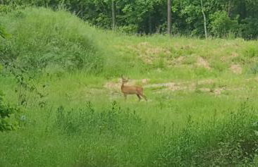 Wooden House&Pool - Photo 32