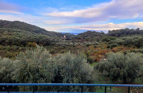 Gelbes Haus Korfu - Foto 38