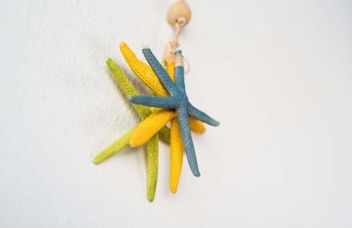 Delmar La Graciosa - Foto 22