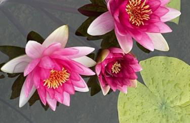 Agriturismo Le Noci - Foto 5