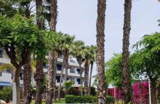 Apartamento Casa del Sol- La Calma-Playa Flamenca-4 swimming pools-private parking place - Foto 24