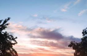 Cortijo Balzain - Foto 13