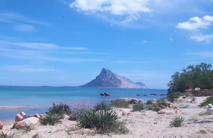 Il Glicine - Foto 29