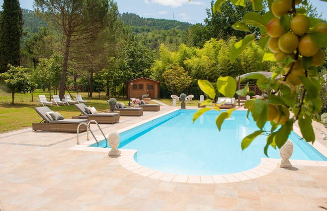 Bicocche Stone Farmhouse - Foto 8