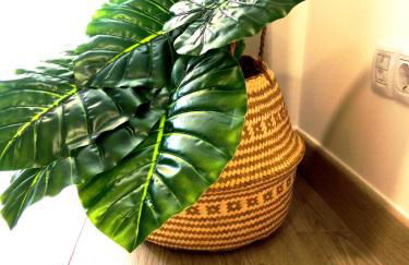 Rincón del Botánico - Foto 12