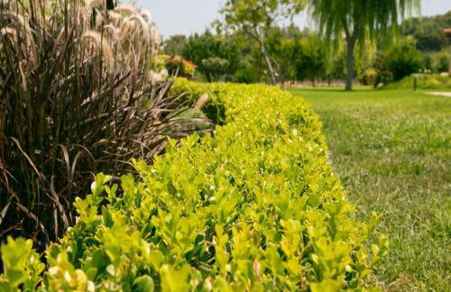 Villa Russelia - Foto 69