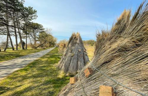 Ferienanlage in Klein Zicker Ferienwohnung 1 - Seeseite - Foto 28