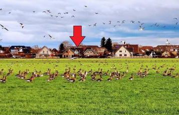 Ferienhaus-Kalkar - Foto 33