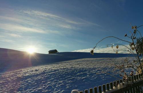Panorama Apartment mit 2 Schlafzi im Allgäu mit Balkon - Foto 28