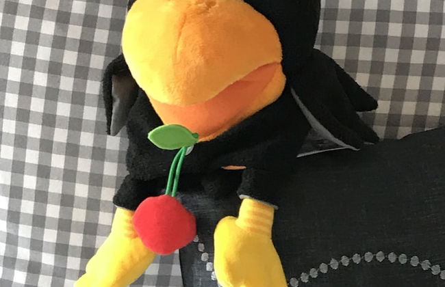 Holiday home with sauna and garden lounge - Foto 12