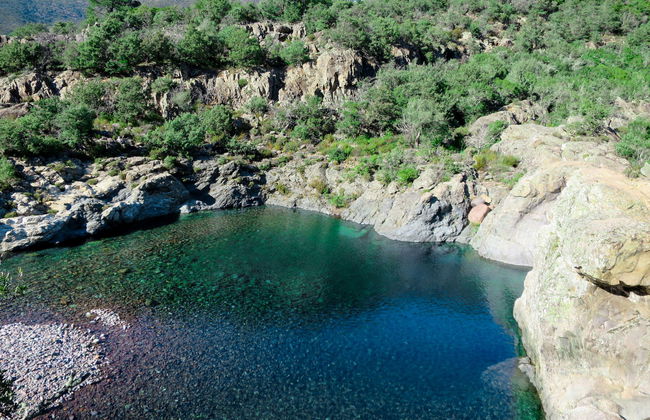 Primavera - Photo 19