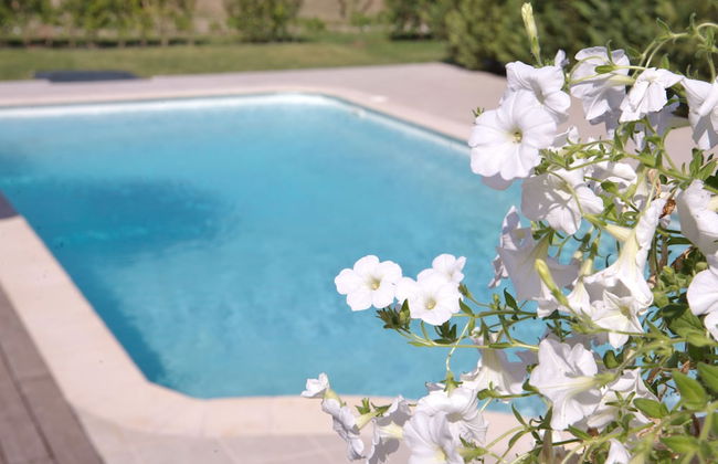 Il Viaggio Verde - Photo 42