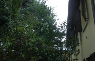 LA STANZA SUI CEDRI - Smart working - Airport - Private Parking - Ducati - Philip Morris - Foto 24