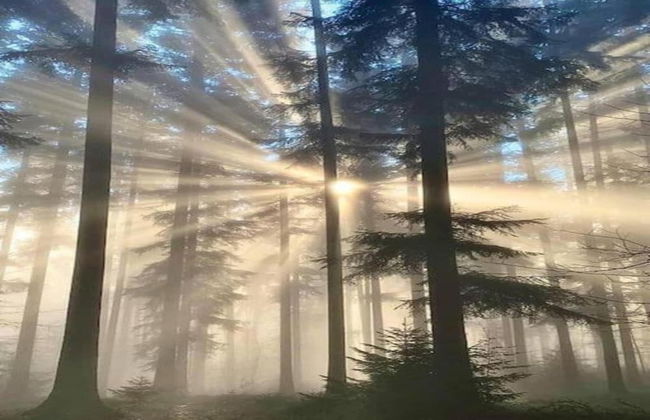 Romantic Hideaway in Hellenthal - Photo 34