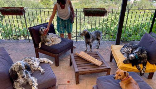 SetterHouseAgriHotel - Photo 5