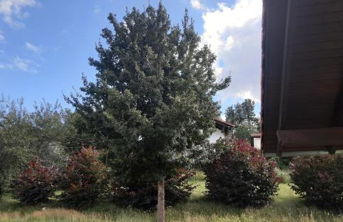 Ferienhaus Niesky - Foto 2