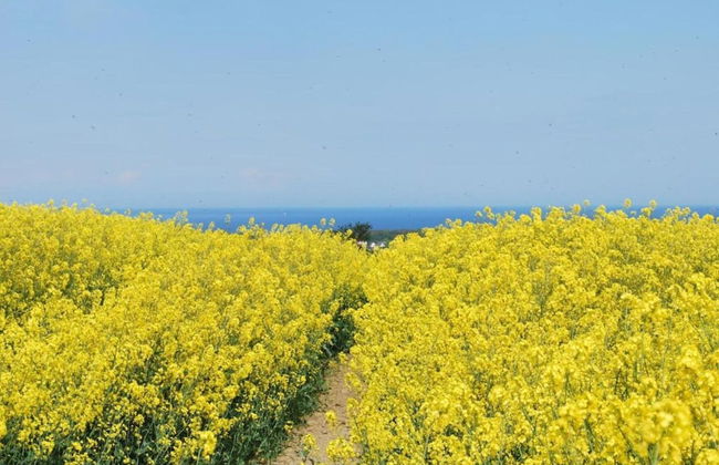 Peaceful Escape in Neu Karin - Photo 36