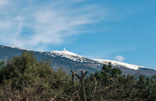 La Petite Maison - Foto 7