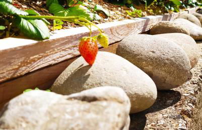 La Rosa dei Venti - Foto 8